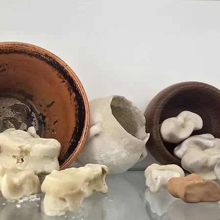 Pensión Tris Ex - Dice Museum Petriaí