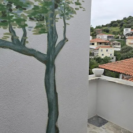 Tris Ex - Dice Museum Petriaí