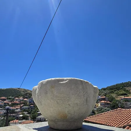 Tris Ex - Dice Museum Pensión